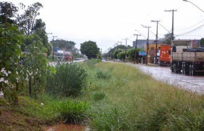 ROÇADA AREAS VERDES 05-02 (2)