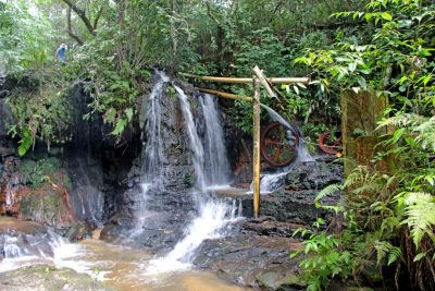 PARQUE DO POMBO COBRAS E PERERECAS 03-02 (9)